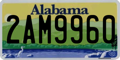 AL license plate 2AM9960