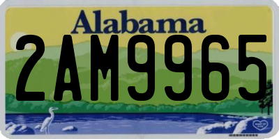 AL license plate 2AM9965
