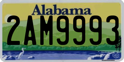 AL license plate 2AM9993