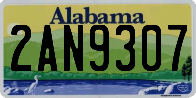 AL license plate 2AN9307
