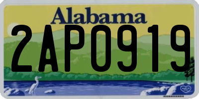 AL license plate 2AP0919