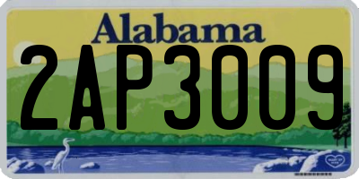 AL license plate 2AP3009