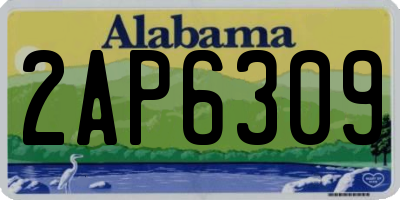 AL license plate 2AP6309