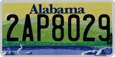 AL license plate 2AP8029