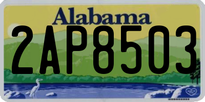 AL license plate 2AP8503