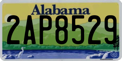 AL license plate 2AP8529