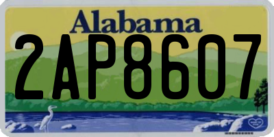 AL license plate 2AP8607