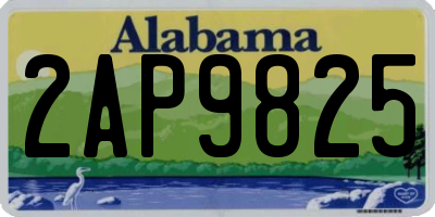 AL license plate 2AP9825
