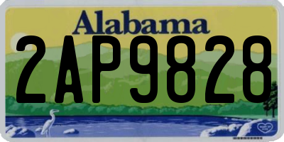 AL license plate 2AP9828