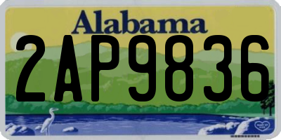AL license plate 2AP9836