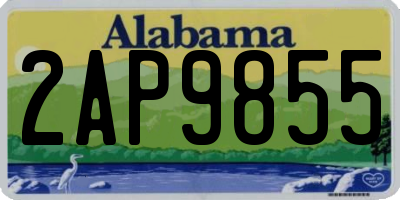 AL license plate 2AP9855