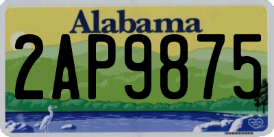 AL license plate 2AP9875