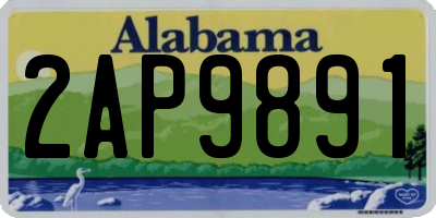 AL license plate 2AP9891