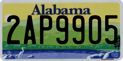 AL license plate 2AP9905