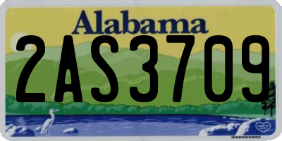 AL license plate 2AS3709