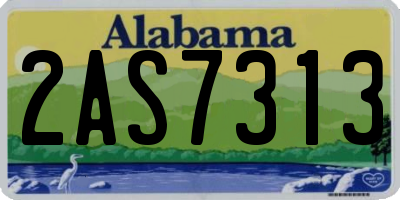 AL license plate 2AS7313
