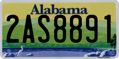 AL license plate 2AS8891