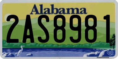 AL license plate 2AS8981