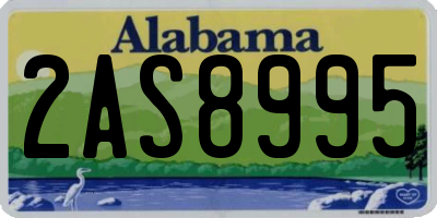 AL license plate 2AS8995