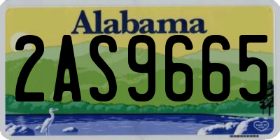 AL license plate 2AS9665