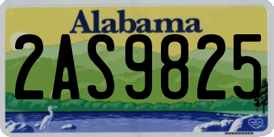 AL license plate 2AS9825