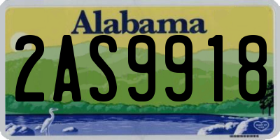 AL license plate 2AS9918