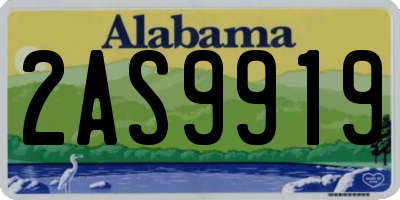 AL license plate 2AS9919