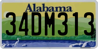 AL license plate 34DM313