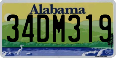 AL license plate 34DM319