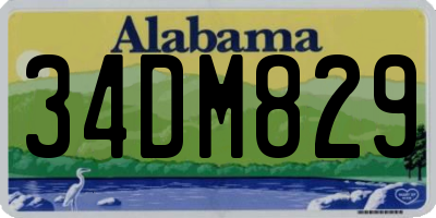 AL license plate 34DM829