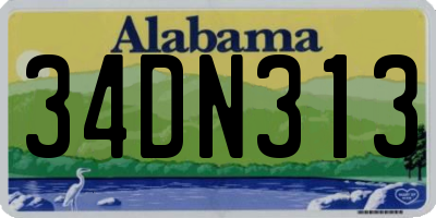 AL license plate 34DN313