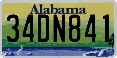 AL license plate 34DN841
