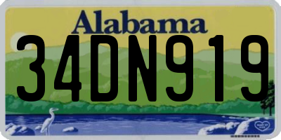 AL license plate 34DN919