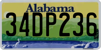 AL license plate 34DP236