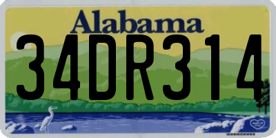 AL license plate 34DR314