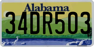 AL license plate 34DR503