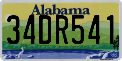 AL license plate 34DR541