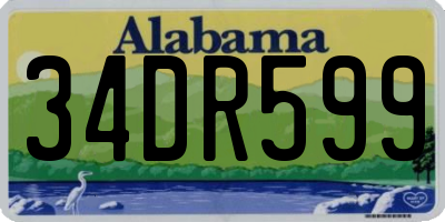 AL license plate 34DR599