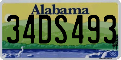 AL license plate 34DS493