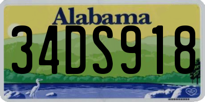 AL license plate 34DS918