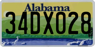 AL license plate 34DX028