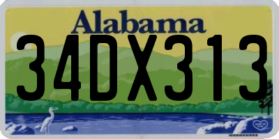 AL license plate 34DX313