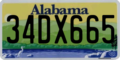 AL license plate 34DX665