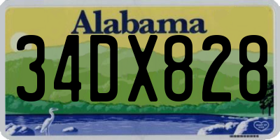 AL license plate 34DX828