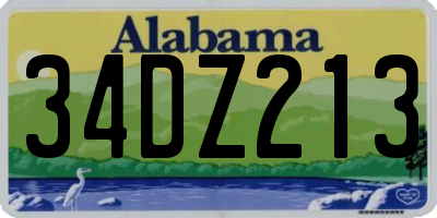 AL license plate 34DZ213