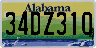 AL license plate 34DZ310