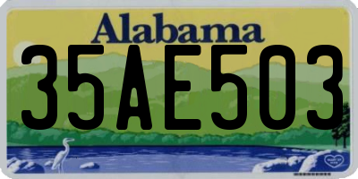 AL license plate 35AE503
