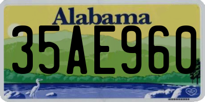 AL license plate 35AE960