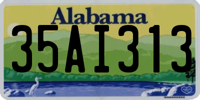 AL license plate 35AI313