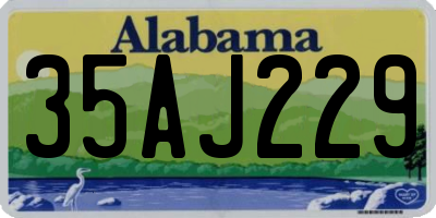 AL license plate 35AJ229